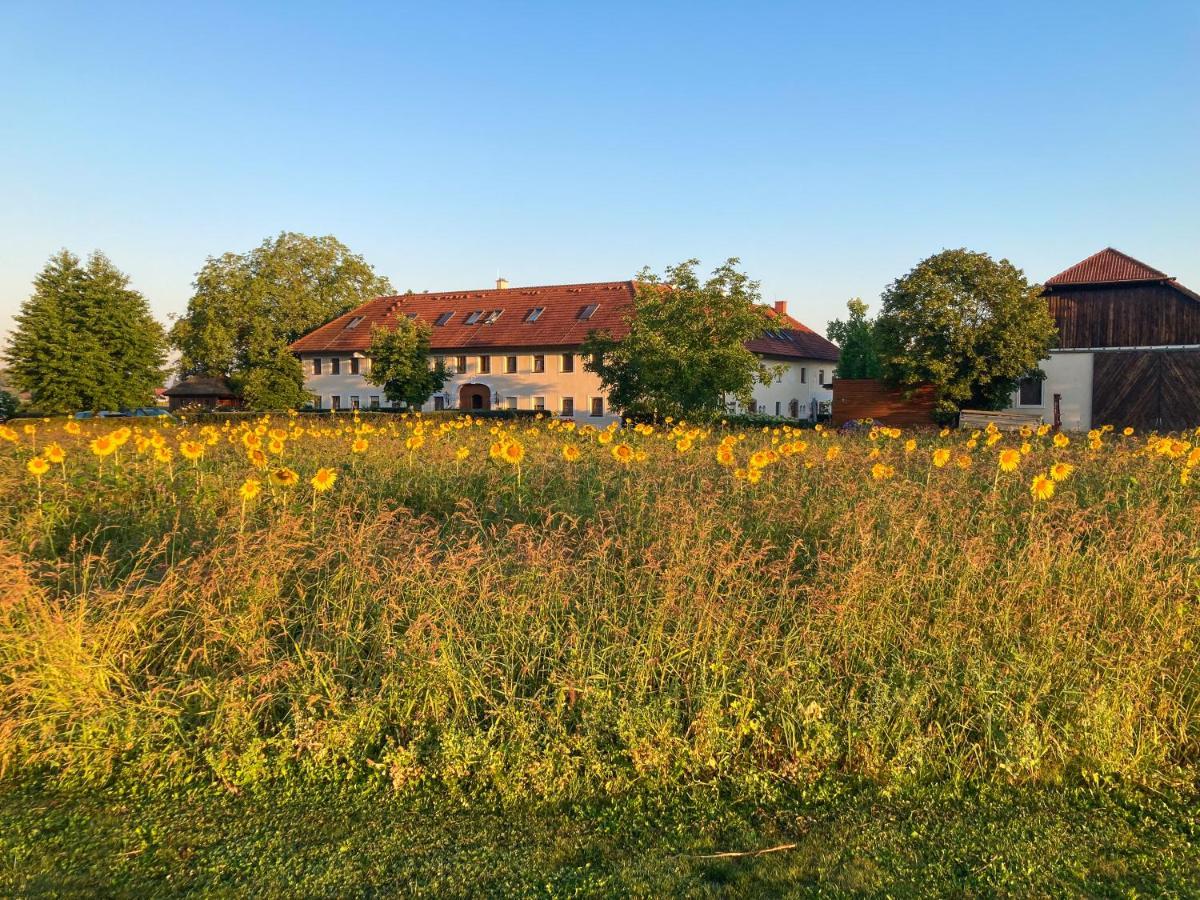 Bauernhofpension Herzog Zu Laah Linz Exterior photo