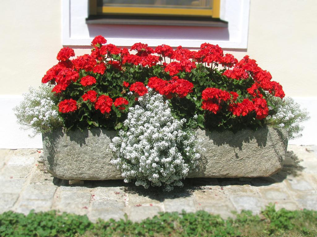 Bauernhofpension Herzog Zu Laah Linz Exterior photo