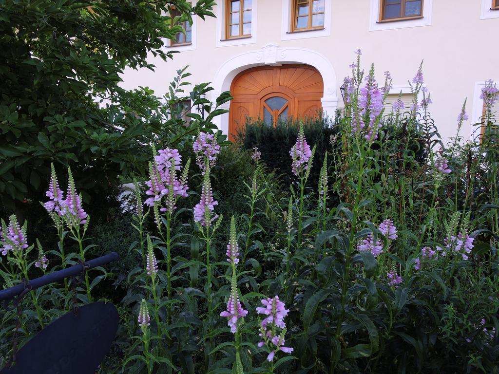 Bauernhofpension Herzog Zu Laah Linz Exterior photo