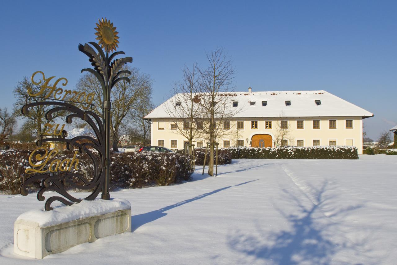 Bauernhofpension Herzog Zu Laah Linz Exterior photo