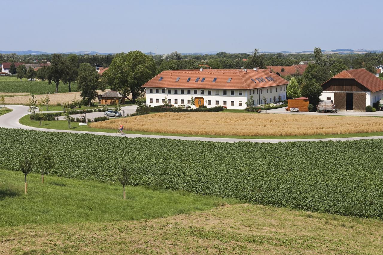 Bauernhofpension Herzog Zu Laah Linz Exterior photo