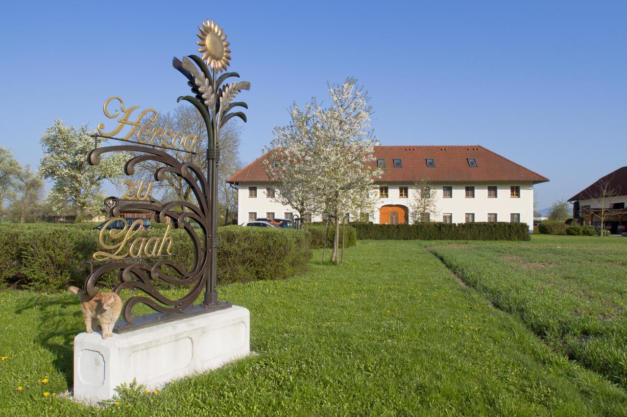 Bauernhofpension Herzog Zu Laah Linz Exterior photo